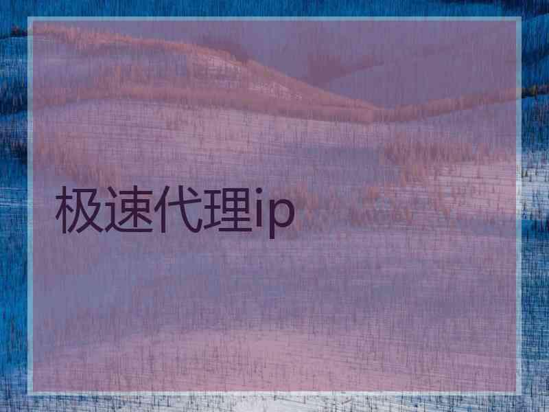 极速代理ip