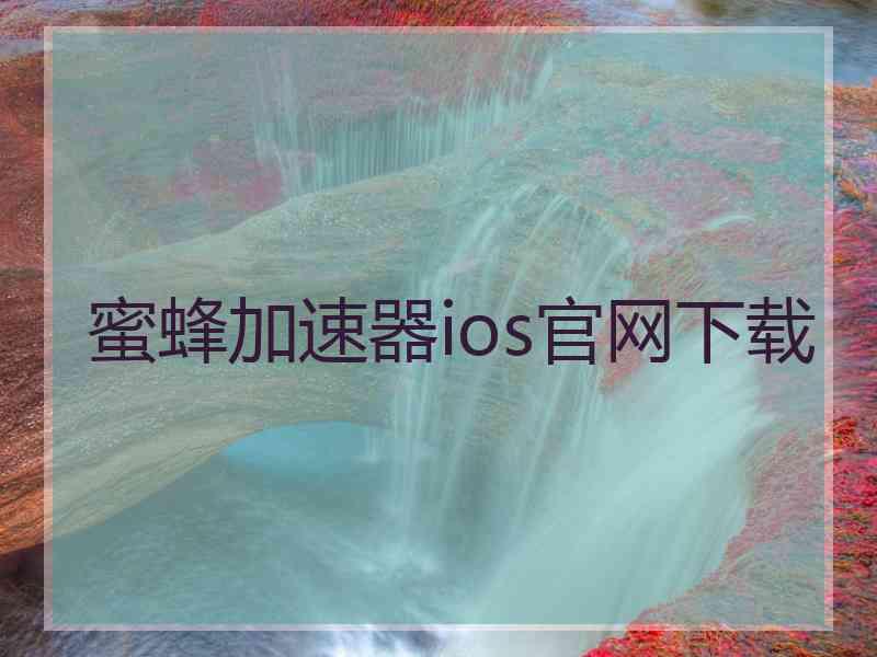 蜜蜂加速器ios官网下载