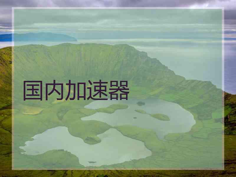 国内加速器