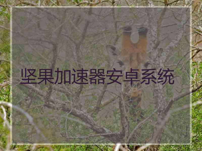 坚果加速器安卓系统