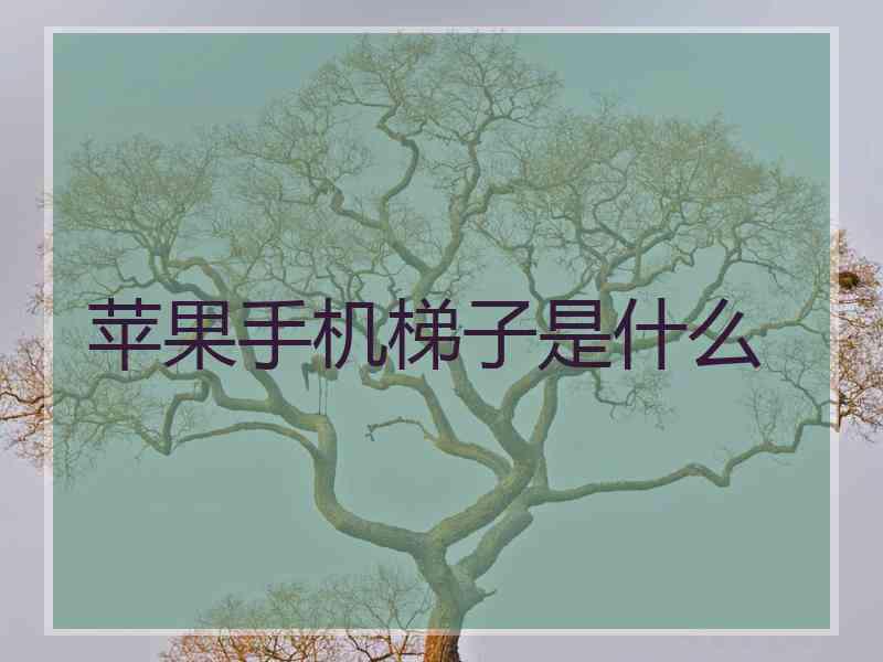 苹果手机梯子是什么