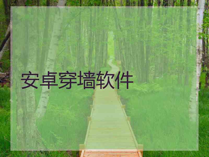 安卓穿墙软件