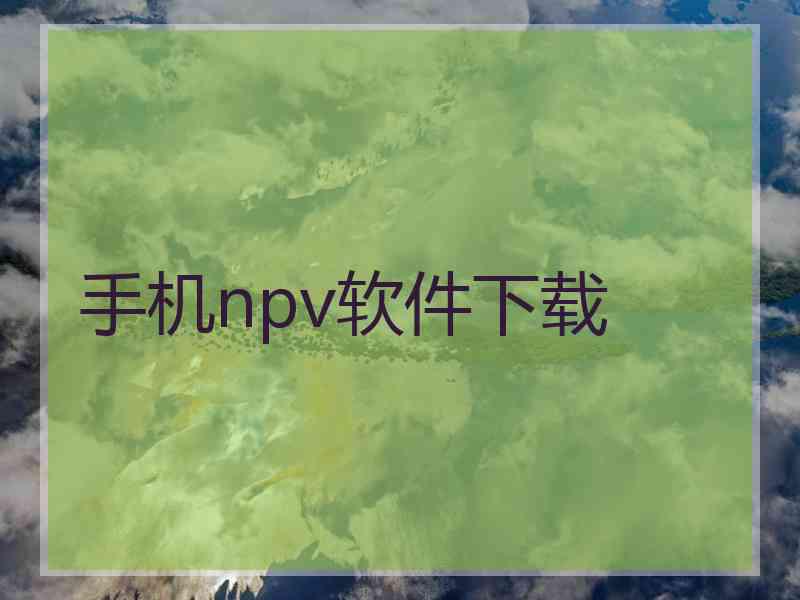手机npv软件下载