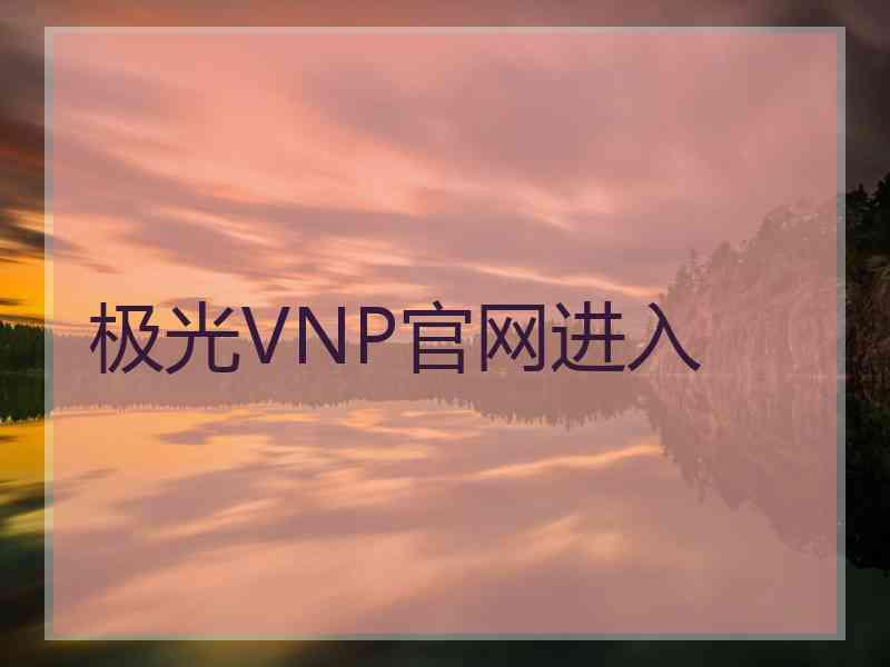 极光VNP官网进入