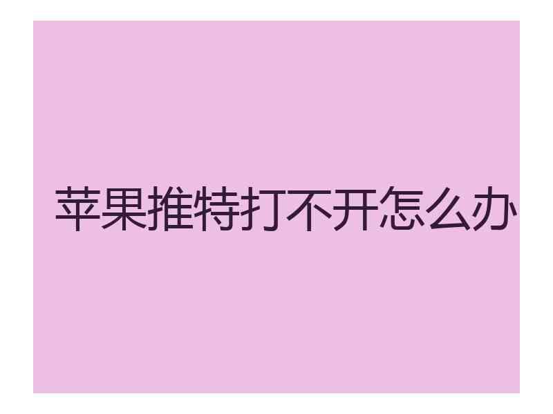 苹果推特打不开怎么办
