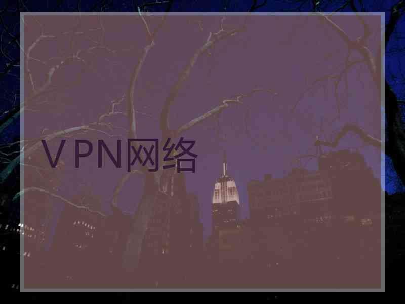 ⅤPN网络