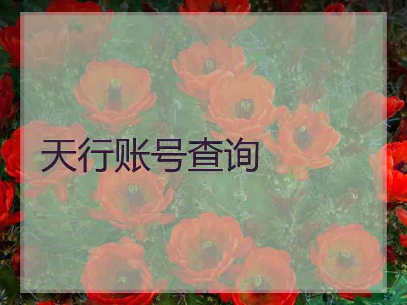 天行账号查询