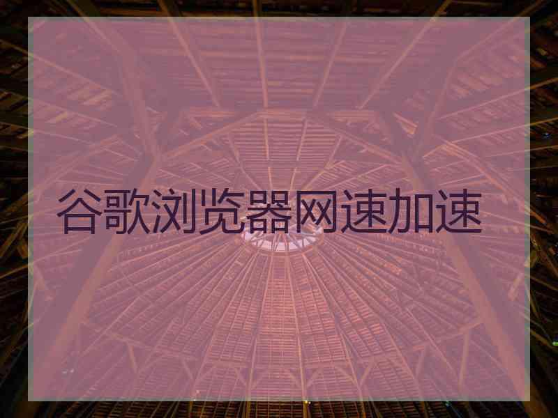 谷歌浏览器网速加速