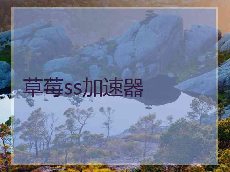 草莓ss加速器