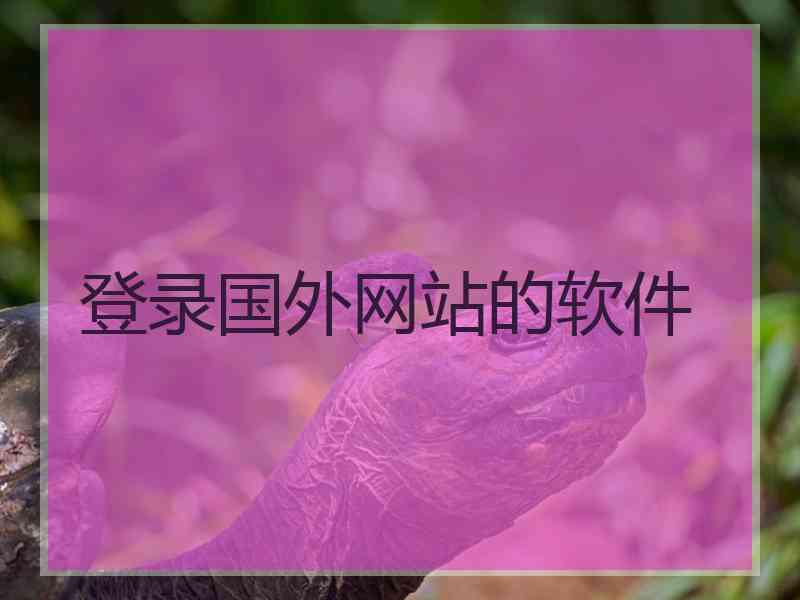 登录国外网站的软件
