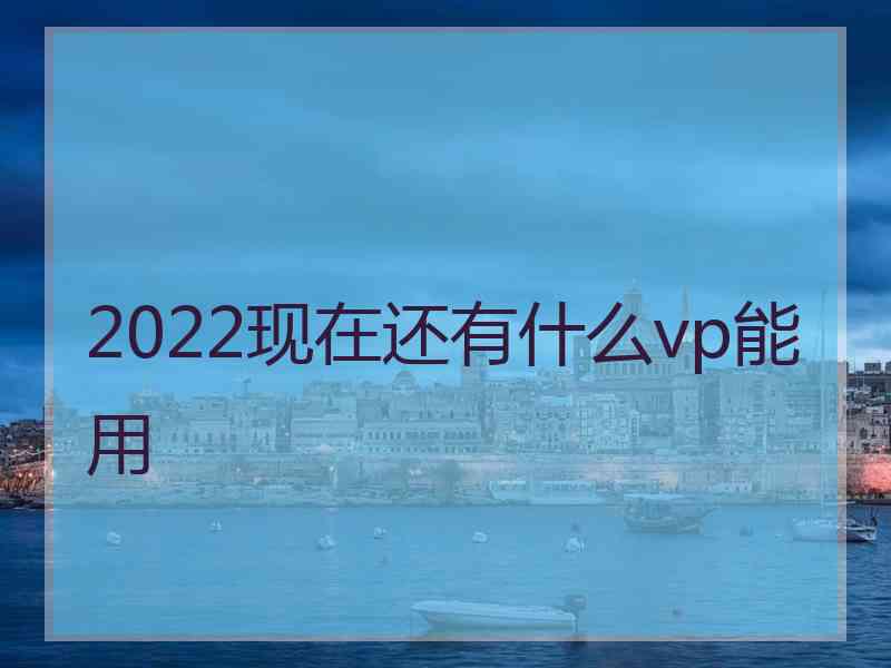 2022现在还有什么vp能用