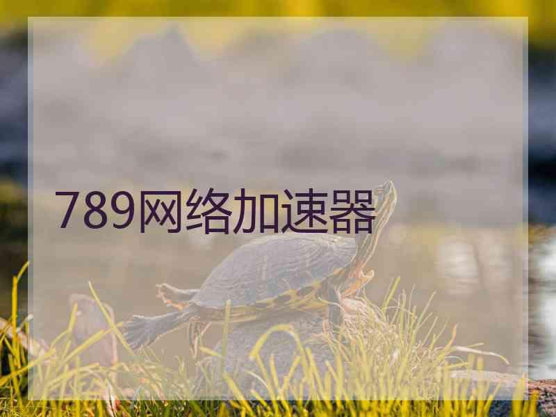 789网络加速器
