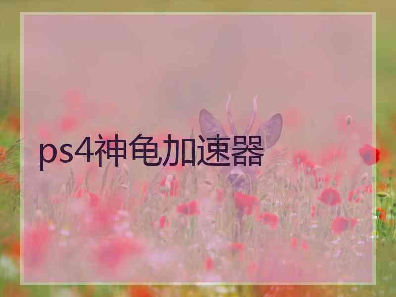 ps4神龟加速器