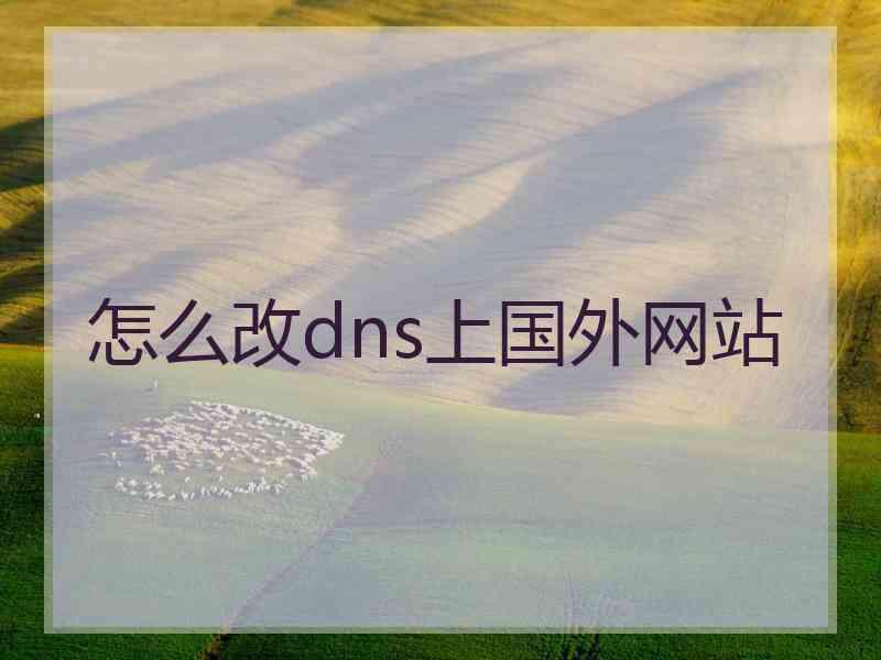 怎么改dns上国外网站