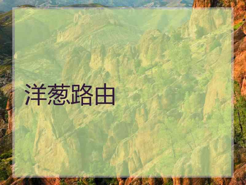 洋葱路由