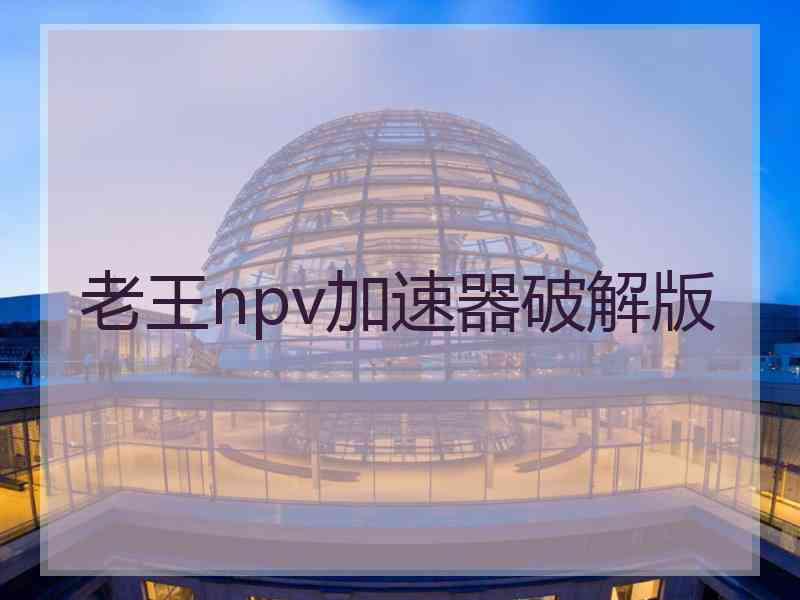 老王npv加速器破解版