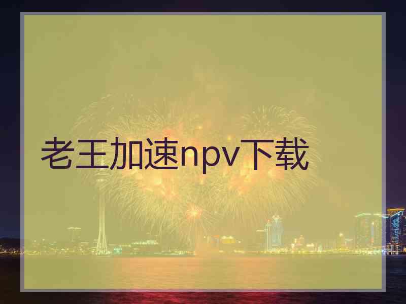 老王加速npv下载