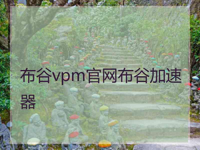 布谷vpm官网布谷加速器