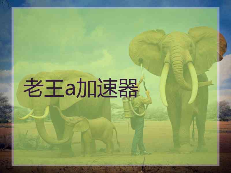 老王a加速器