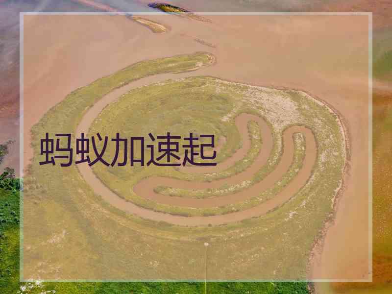 蚂蚁加速起