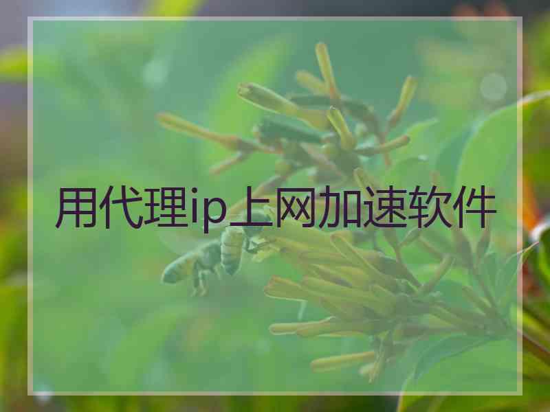 用代理ip上网加速软件