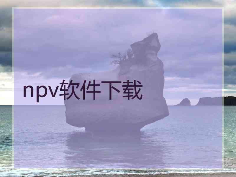 npv软件下载