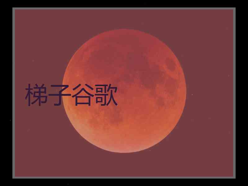梯子谷歌