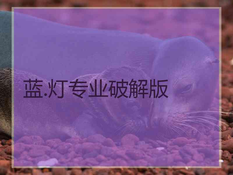 蓝.灯专业破解版