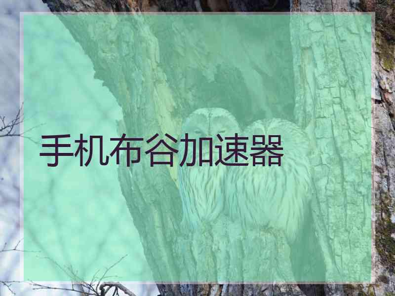 手机布谷加速器