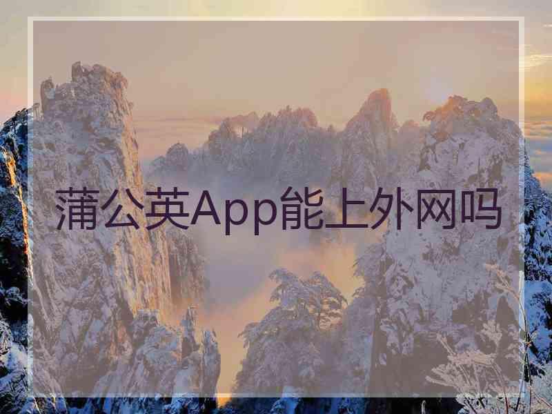 蒲公英App能上外网吗