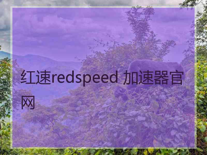 红速redspeed 加速器官网