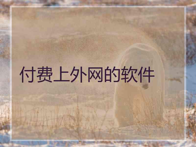 付费上外网的软件