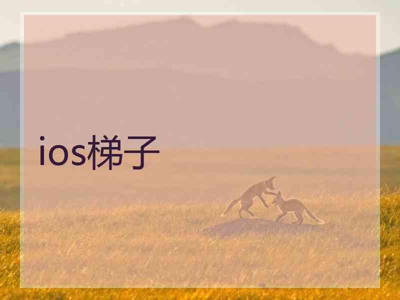 ios梯子