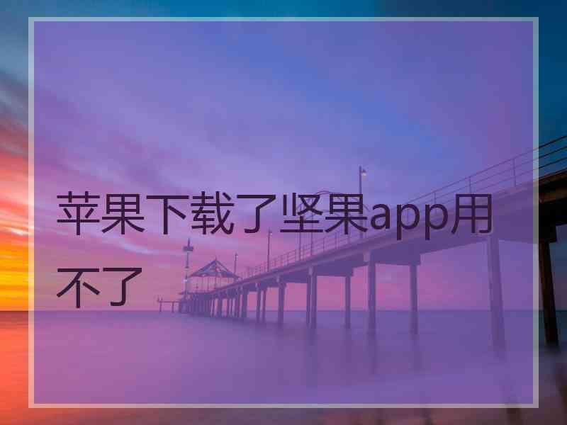 苹果下载了坚果app用不了