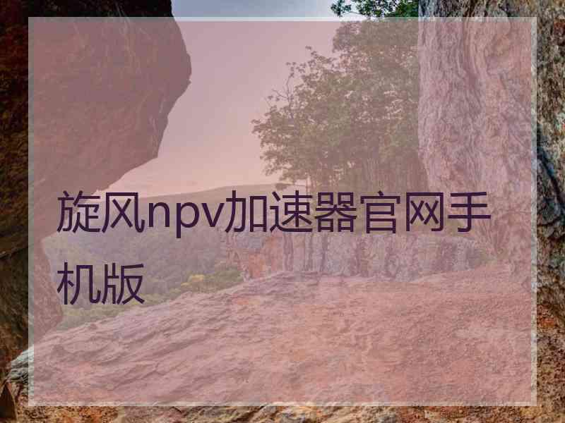 旋风npv加速器官网手机版