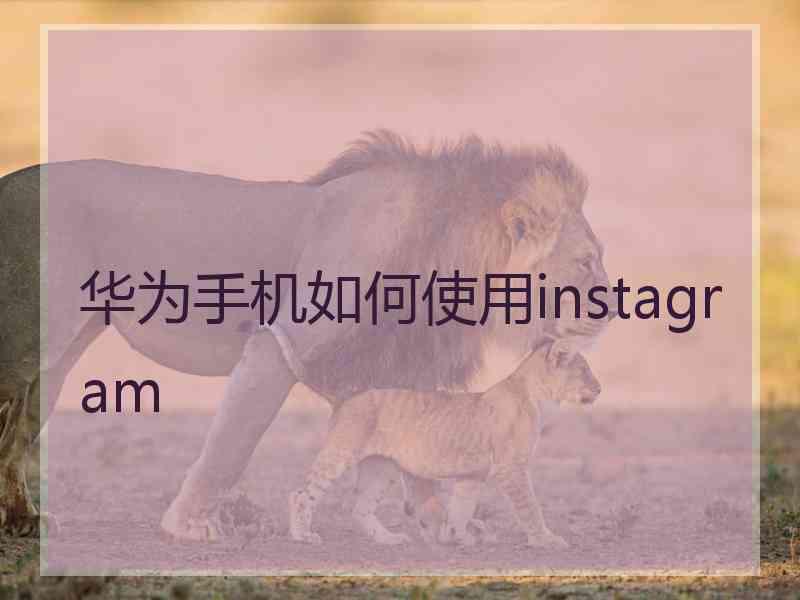华为手机如何使用instagram