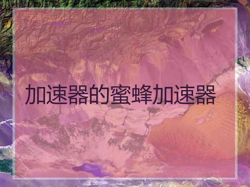 加速器的蜜蜂加速器