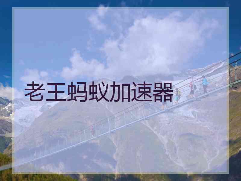 老王蚂蚁加速器