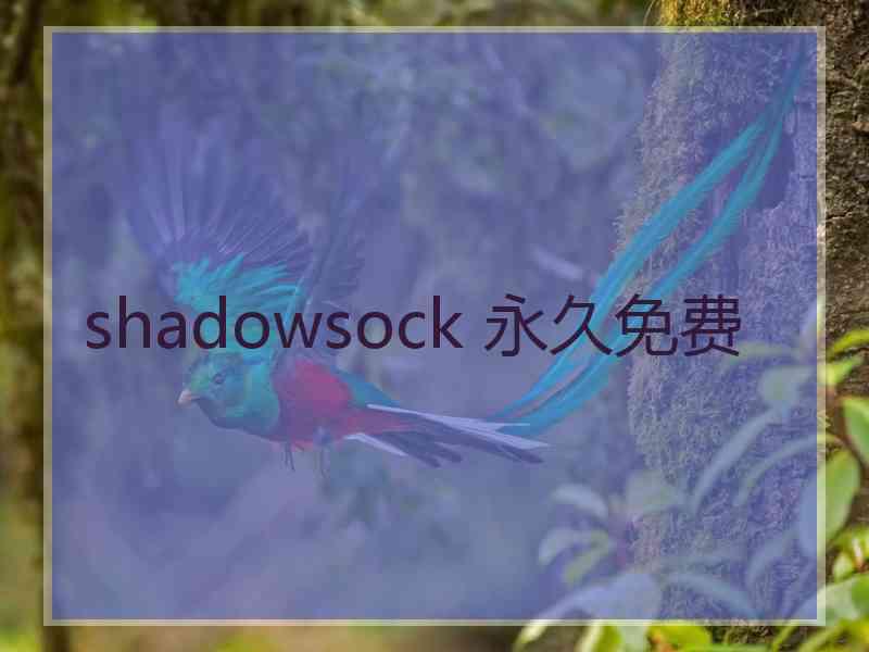 shadowsock 永久免费
