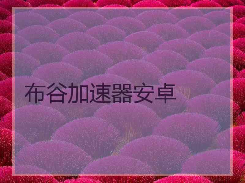 布谷加速器安卓
