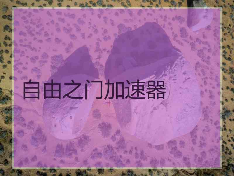 自由之门加速器