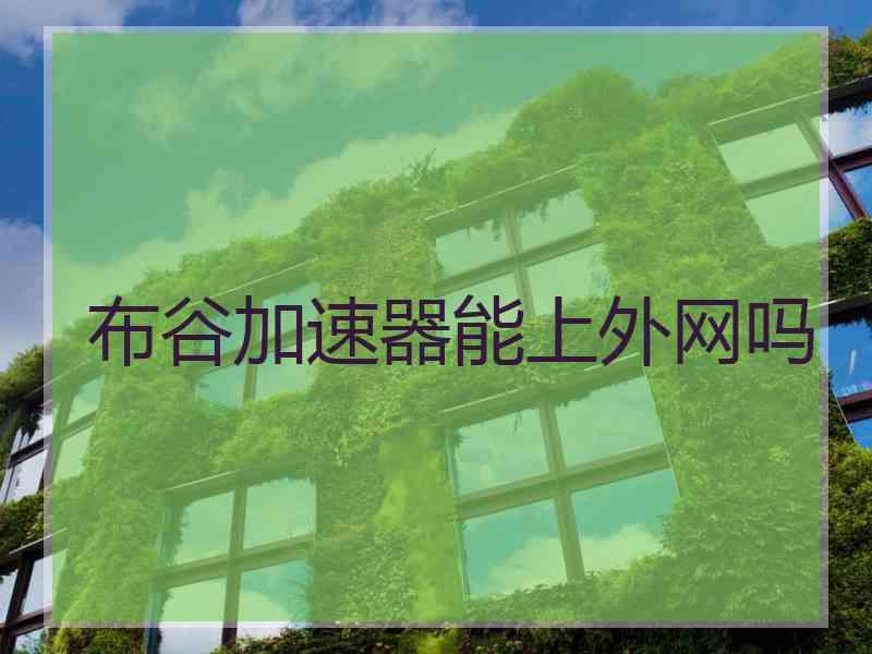 布谷加速器能上外网吗