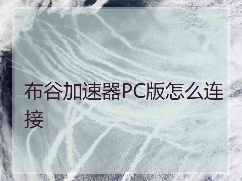 布谷加速器PC版怎么连接