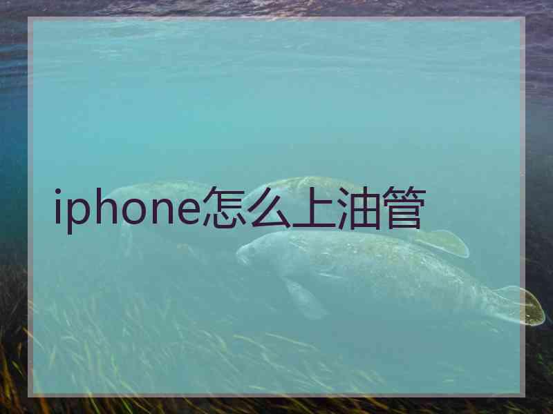 iphone怎么上油管
