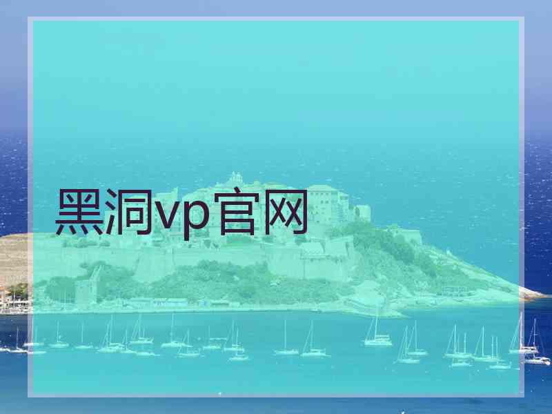 黑洞vp官网