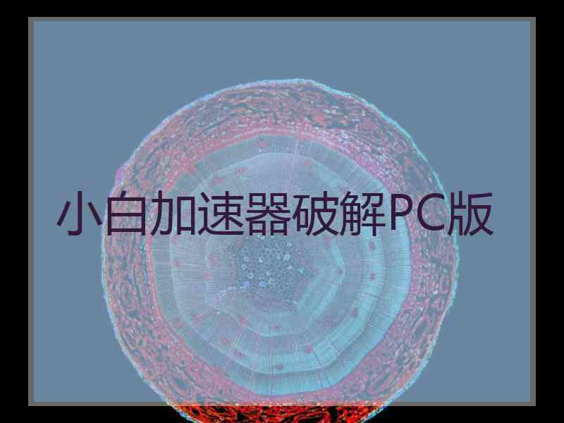 小白加速器破解PC版