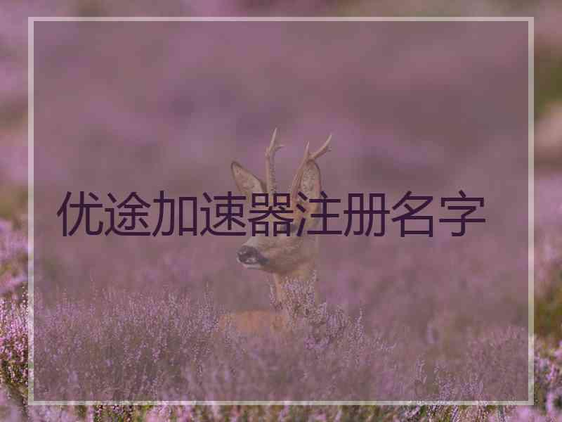 优途加速器注册名字