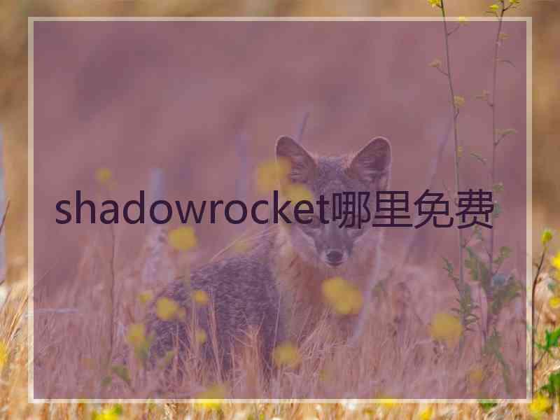 shadowrocket哪里免费