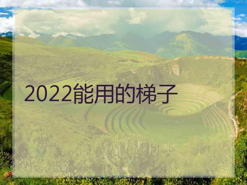 2022能用的梯子