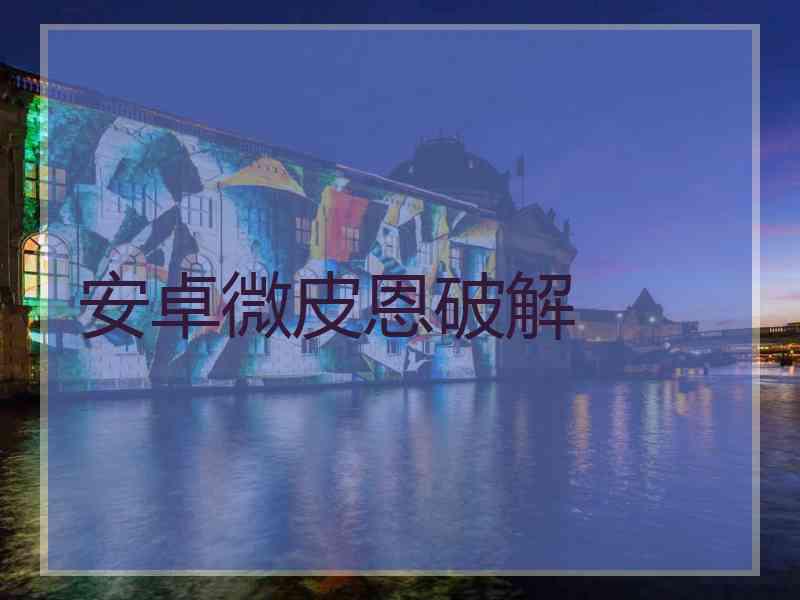 安卓微皮恩破解